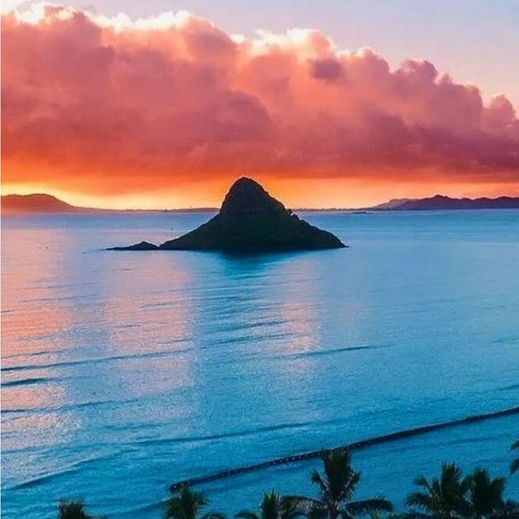 Meet your Posher, Tammy - Picture 1 of 1